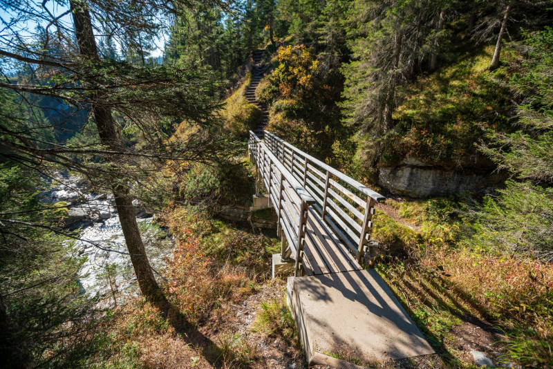 Trutg dil Flem - Muletg